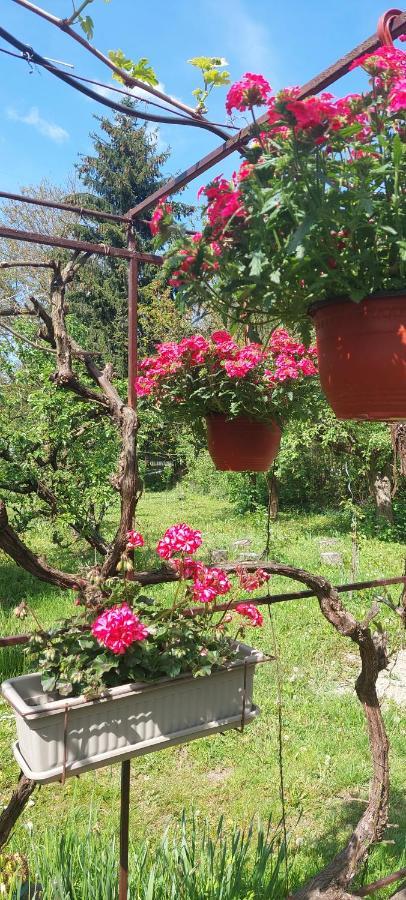 Fruskogorska Kuca - Andrevlje Lounge, Naselje Testera * Cerevic